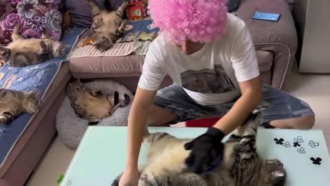 Cats also do this!