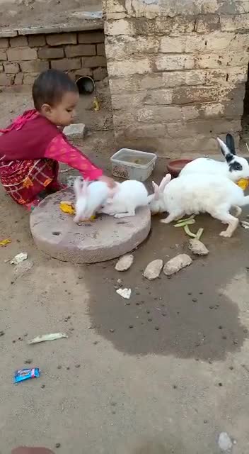 Cute friendship Babies and Rabbits