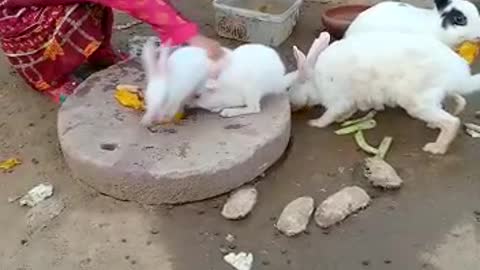 Cute friendship Babies and Rabbits