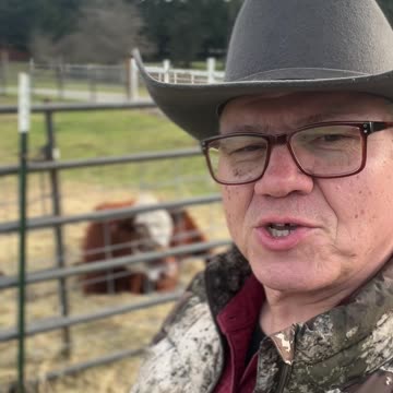 Shout Out to the Beef Producers - Tess Says Hi