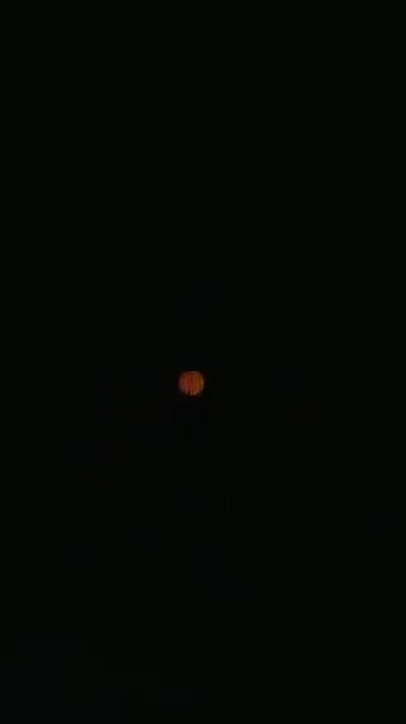 Night Sky Lights Up With Wonder