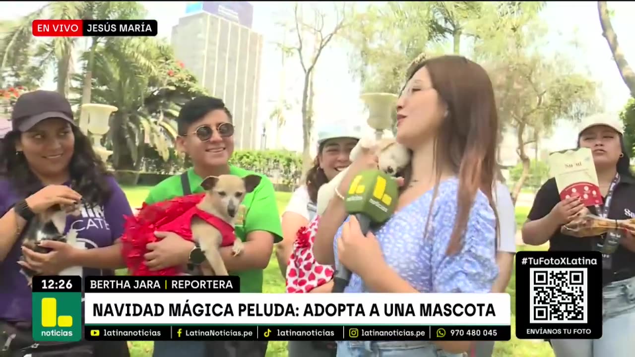 Adopta una mascota por Navidad: "No hay excusa para no llevar a uno de ellos a nuestro hogar"