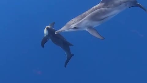 under the sea way