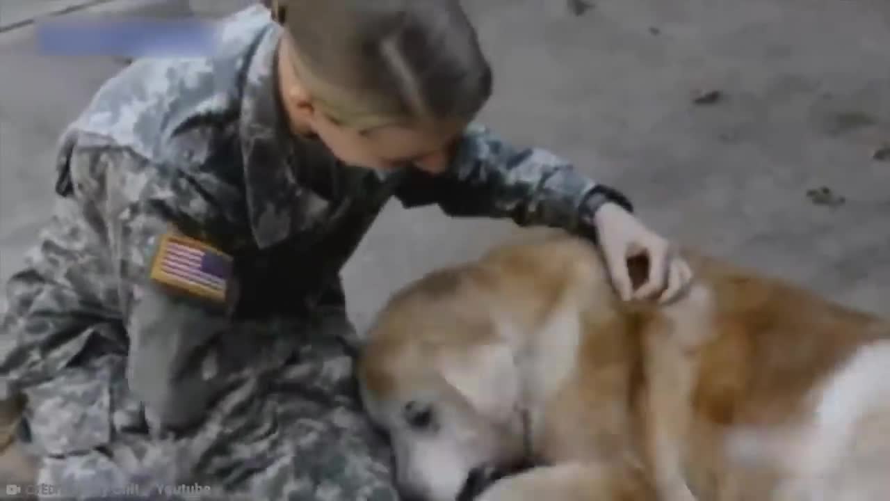 Heartwarming Animal Reunion with Owner