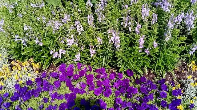 More of Prescott park