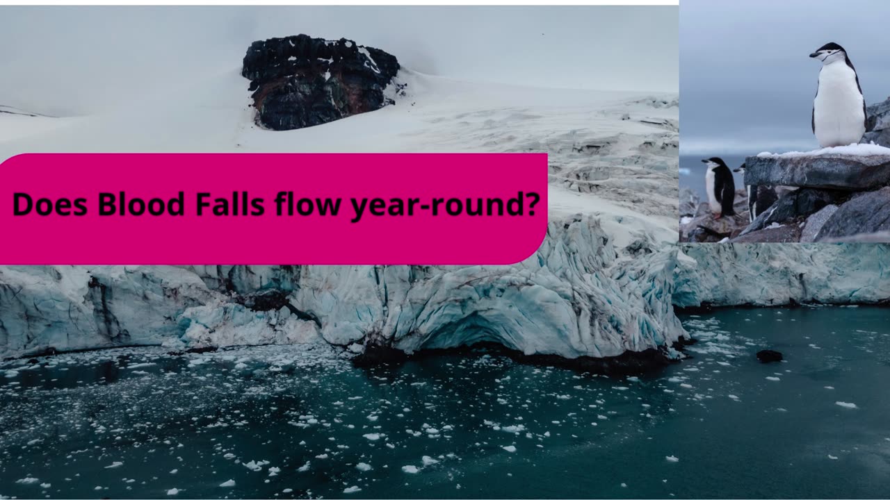 📜 🌟 🚀 Why Does Antarctica Have a Flowing Red Waterfall? 📜 🌟 🚀