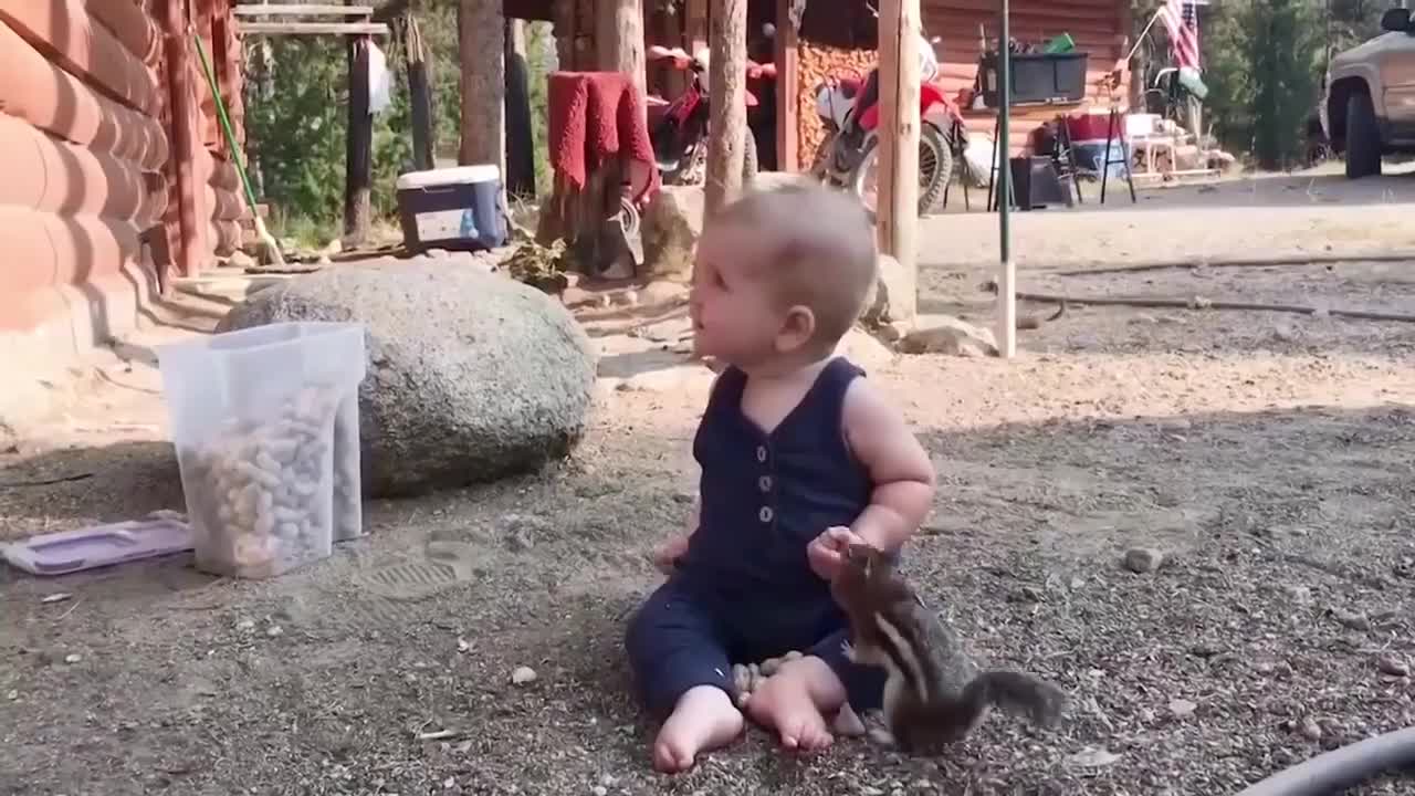 Funny Babies and Animals -Funny Baby Videos playing 2021