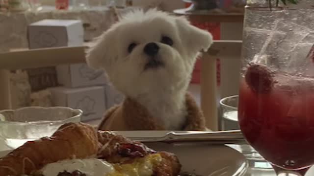 I also want to eat peoples food