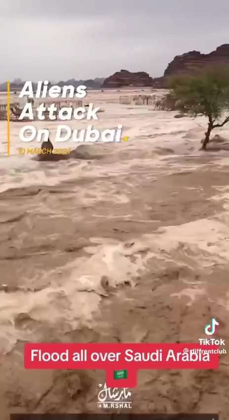 Dubai charLIE wards favorite Trafficking FLOODED