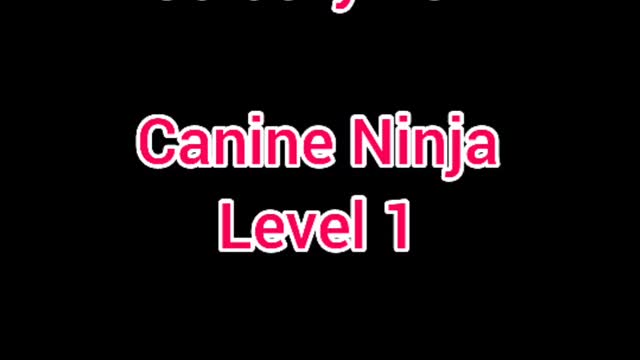 Aurora ICE Canine Ninja Level 1 February 2022 ❤Love❤Props