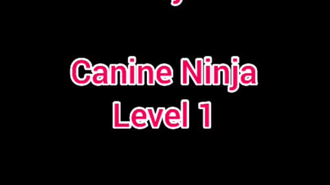 Aurora ICE Canine Ninja Level 1 February 2022 ❤Love❤Props