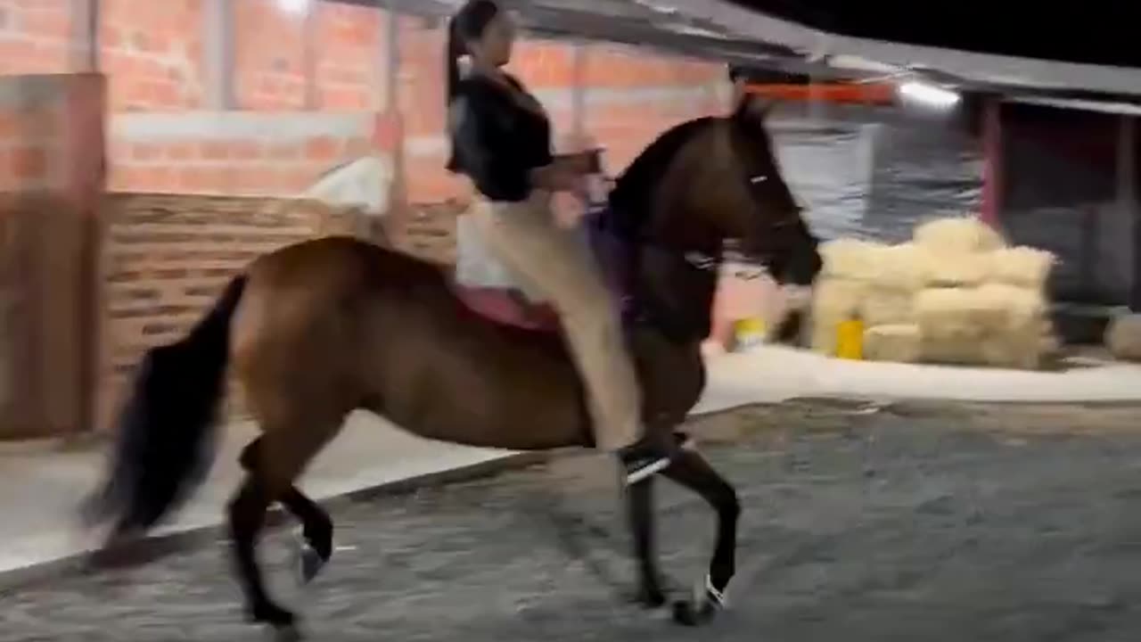 caballo