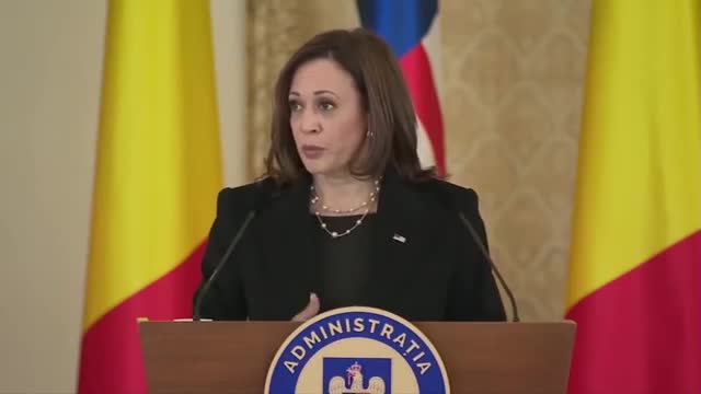 EVERYTHING IS STUPID!!