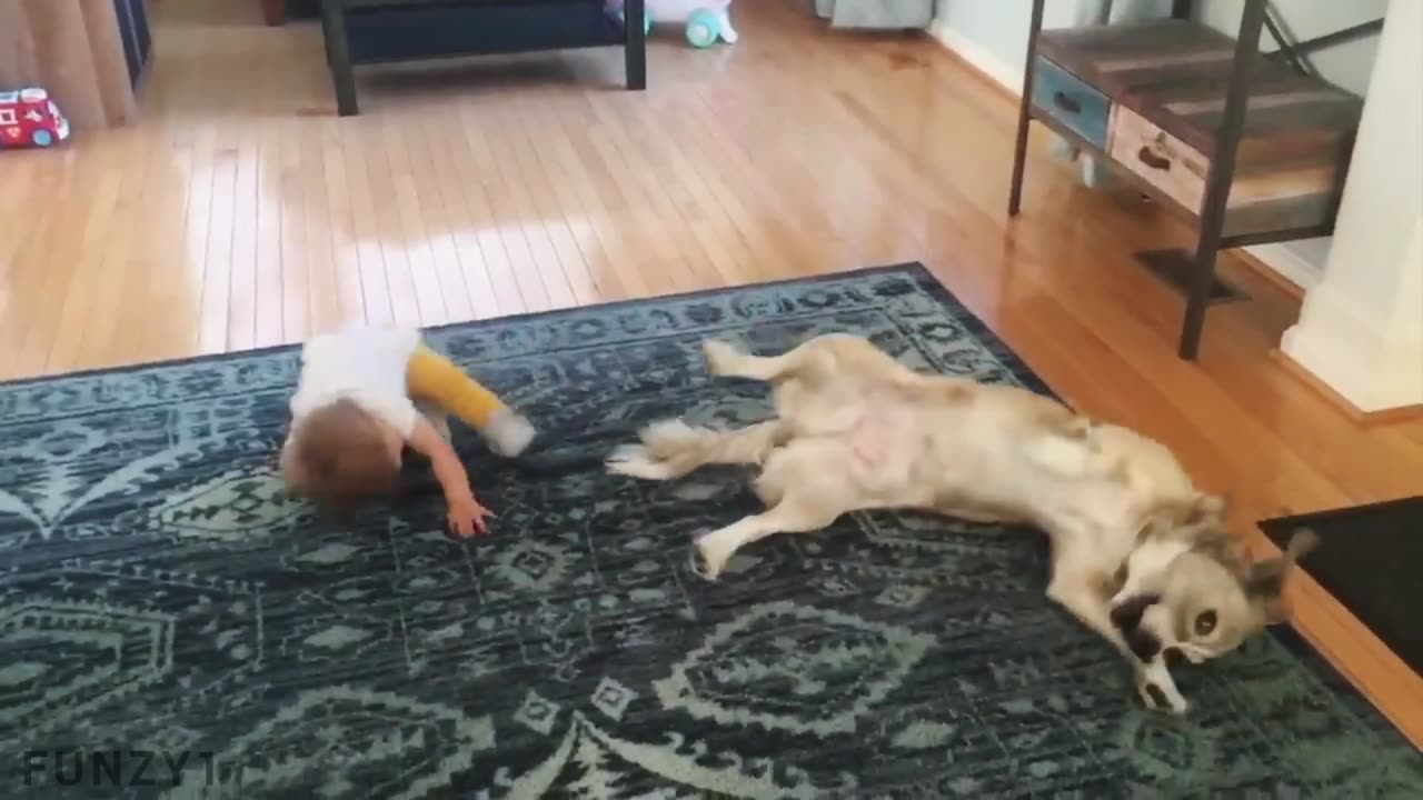 Funny Babies Playing with Dogs Compilation (Part 4)