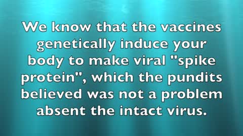 Ozone to treat vaccine injury by Dr Robert Rowen