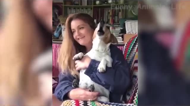 Description: 🤣 Funniest 🐶 Dogs And 😻Cats - Try Not...