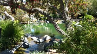 Welcome to Seaport Village in San Diego California