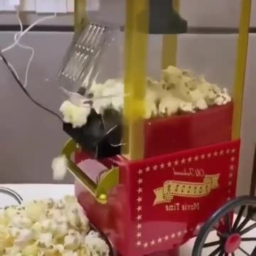 Pop corn with machine🌽