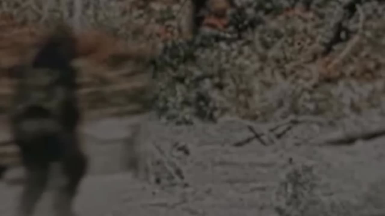 The Ultimate Weapon in Information Warfare