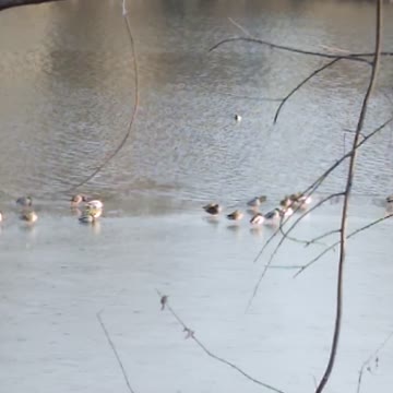 Current View Feb 16, 2022 9:15am EST