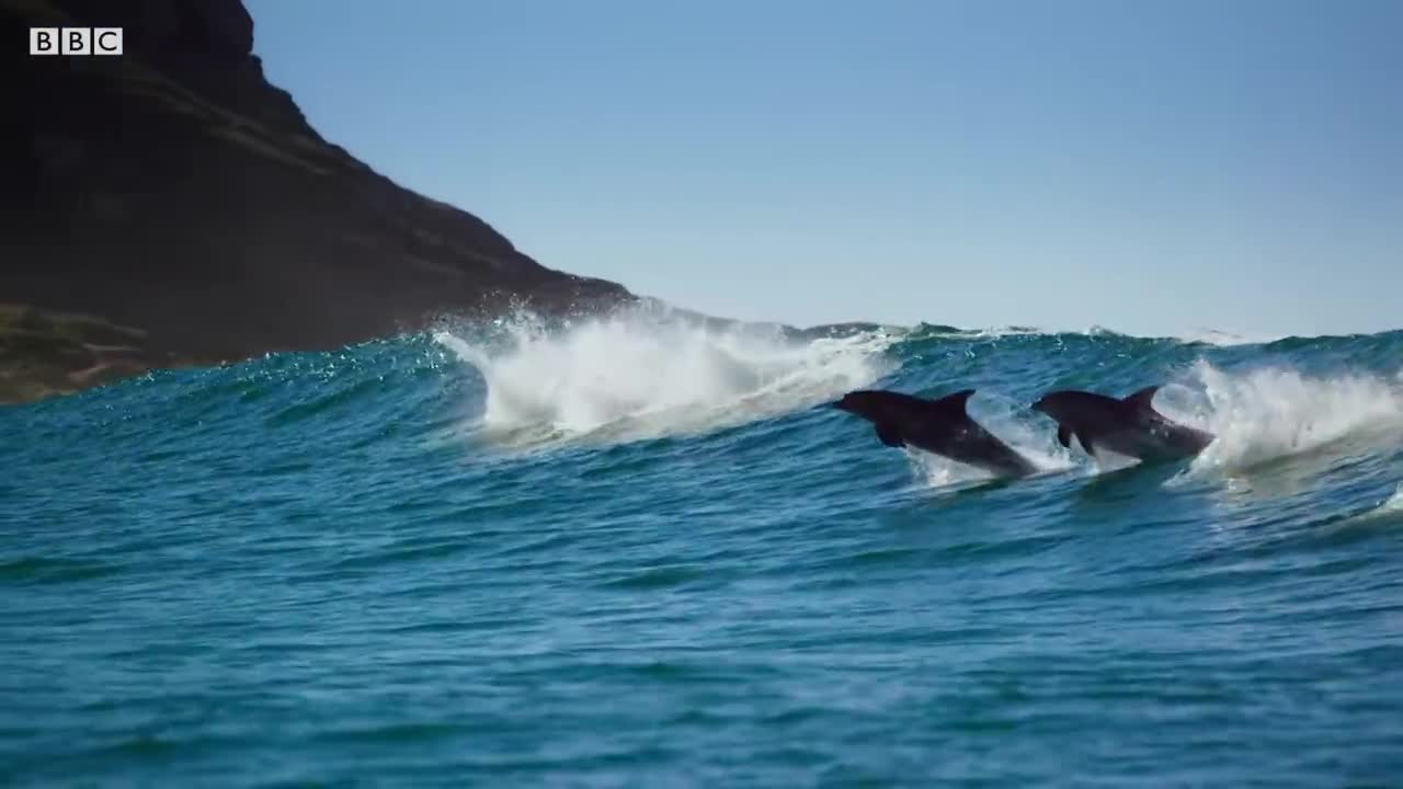 David Attenborough's Closing Speech | Blue Planet II | BBC Earth