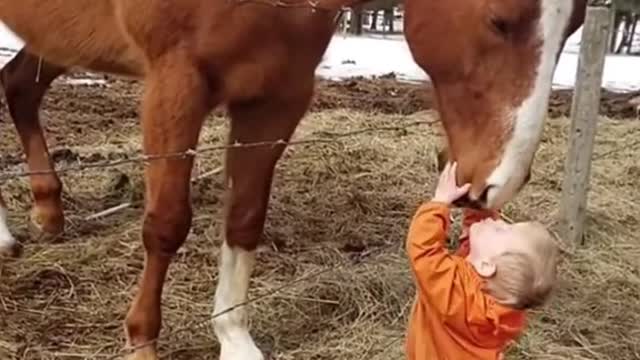 The horse seemed to love the baby. It was so cute