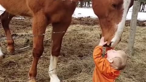 The horse seemed to love the baby. It was so cute