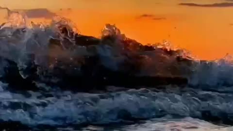 A group of cheerful penguins are coming ashore