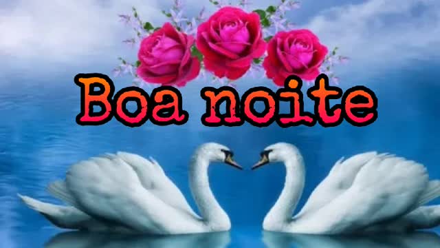 Boa noite especial / video de boa noite / good night video