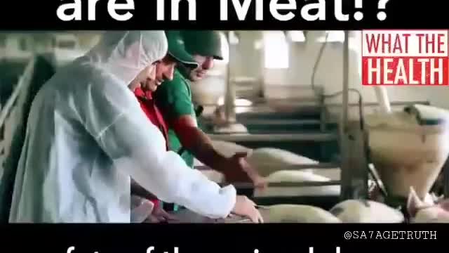 DRUGS IN MEAT