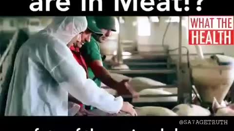 DRUGS IN MEAT