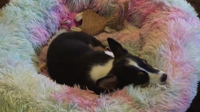 Old man Njord checks on Skadi