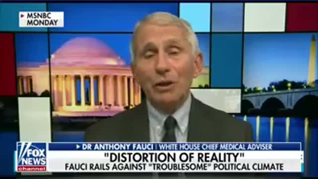 Dana Perino: Fauci making media rounds to defend himself #shorts