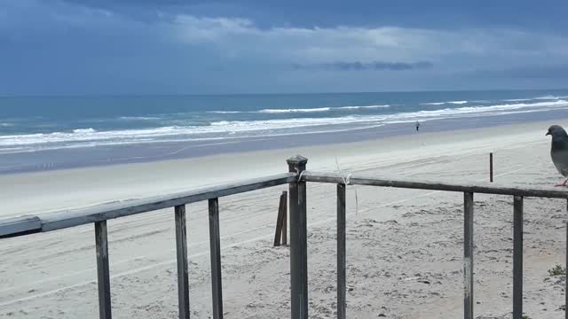 Ormond Beach