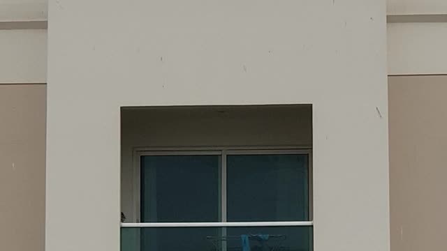 Social Distancing - a.k.a. "Seagull style"