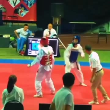 Taekwondo