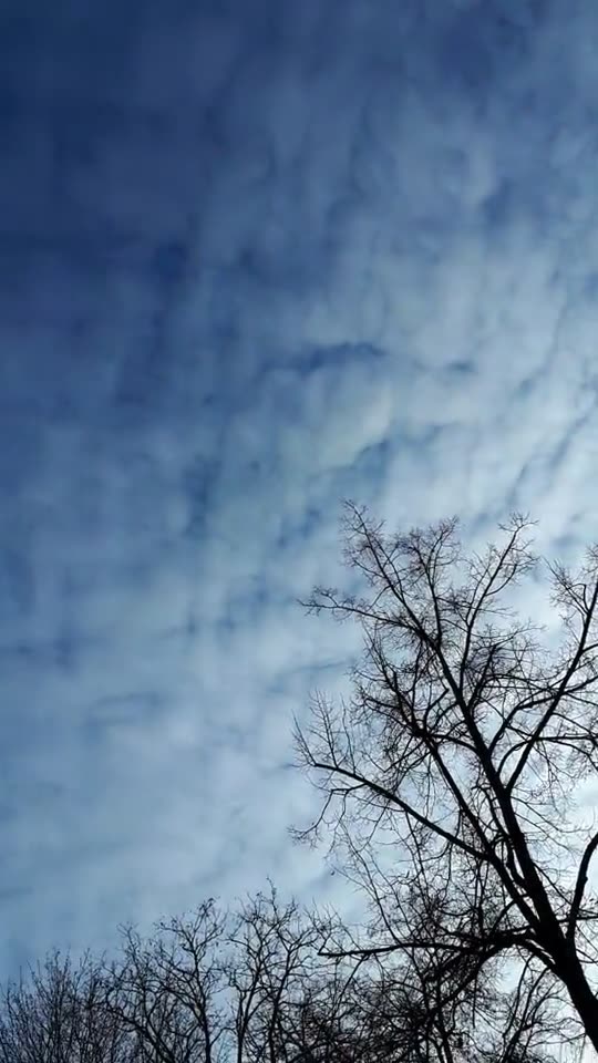 Himmel in Berlin am 26.11.2023 um 13:48 Uhr