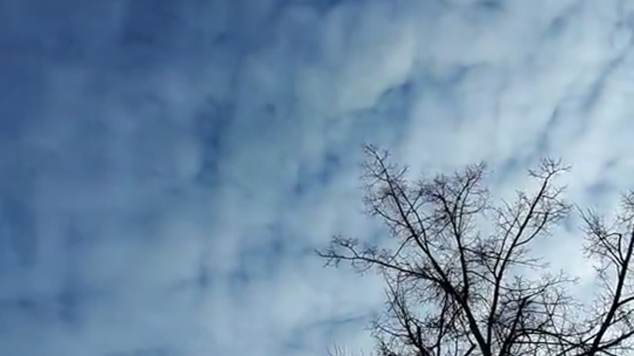 Himmel in Berlin am 26.11.2023 um 13:48 Uhr