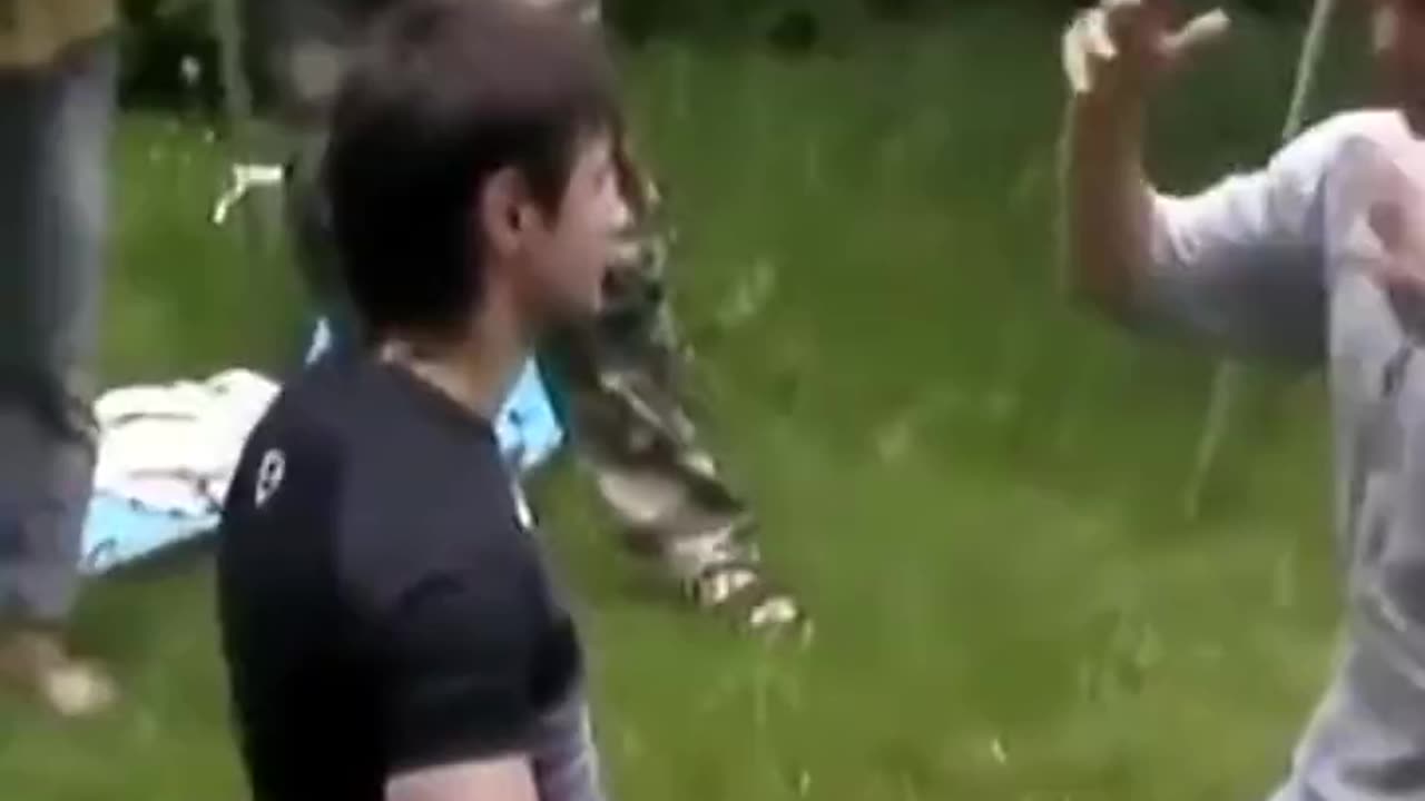MMA Fighter vs Force Field Master