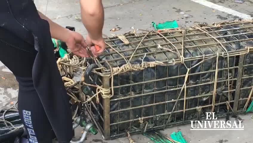 Autoridades en Cartagena hallan cocaína oculta en el fondo del mar