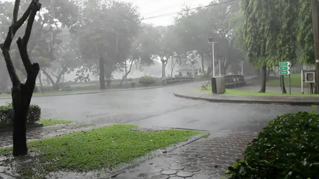 Rain Sound for Sleep