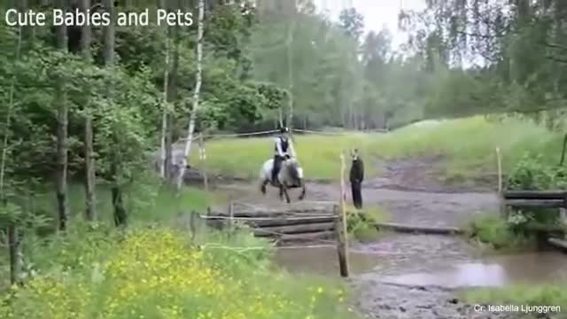 10 Minute Video of Horses.