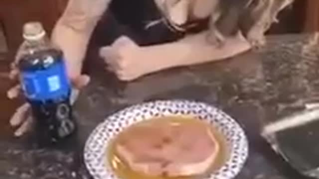 This is why you shouldn't eat pork