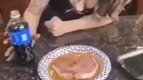 This is why you shouldn't eat pork