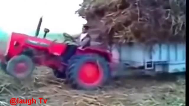 Funny videos and laughs