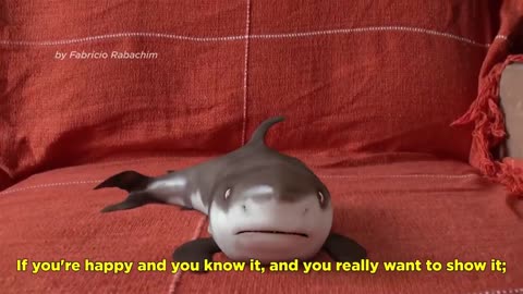 Cutest Baby Shark Happy Shark Funny Shark ☺☺☺☺☺