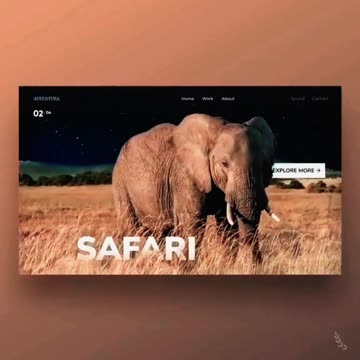 The Future of Websites: Embrace Tomorrow with Grainger Web Design! 💻✨