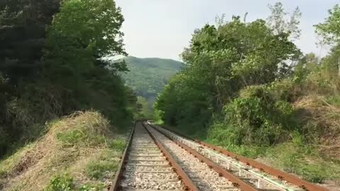 Riding a rail bike on the Korean train road in summer