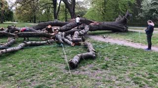 Another day of awesome dogs Hyde Park, London