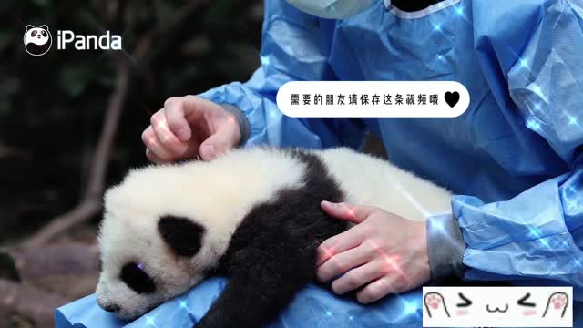 Rechargeable baby panda